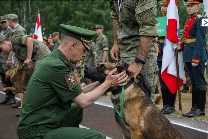 Собаки цвета хаки: финишировал Всеармейский этап военного кинологического конкурса «Верный друг»