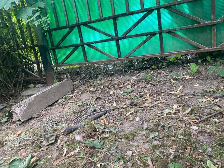 Появилось видео «побега» мальчиков из детского сада на юго-западе Москвы