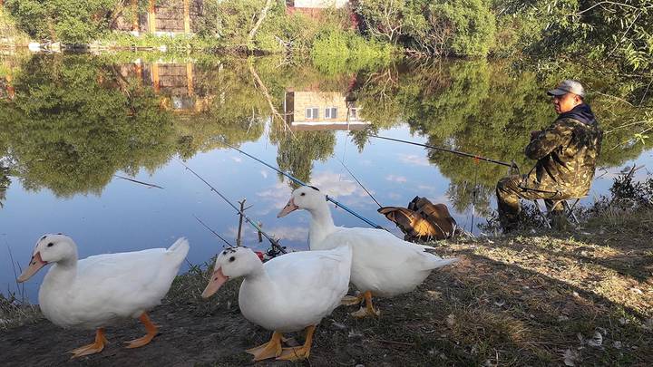 Бюро добрых услуг: работает круглый год без перерывов и выходных и совершенно бесплатно