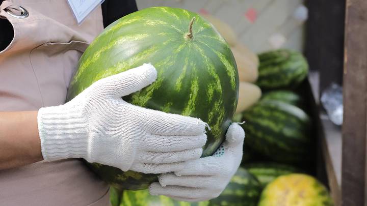 Колбасу встречают по составу: как распознать поддельные продукты в магазине