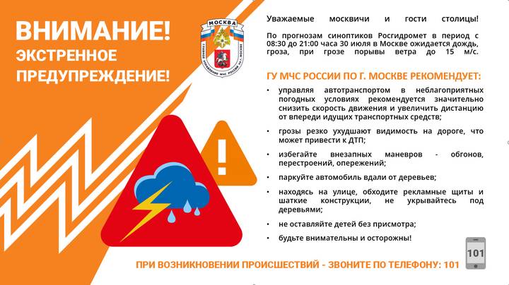 МЧС предупредило о порывистом ветре и грозе в Москве