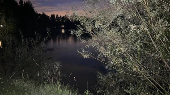 Тело годовалой девочки обнаружили в пруду в Новой Москве