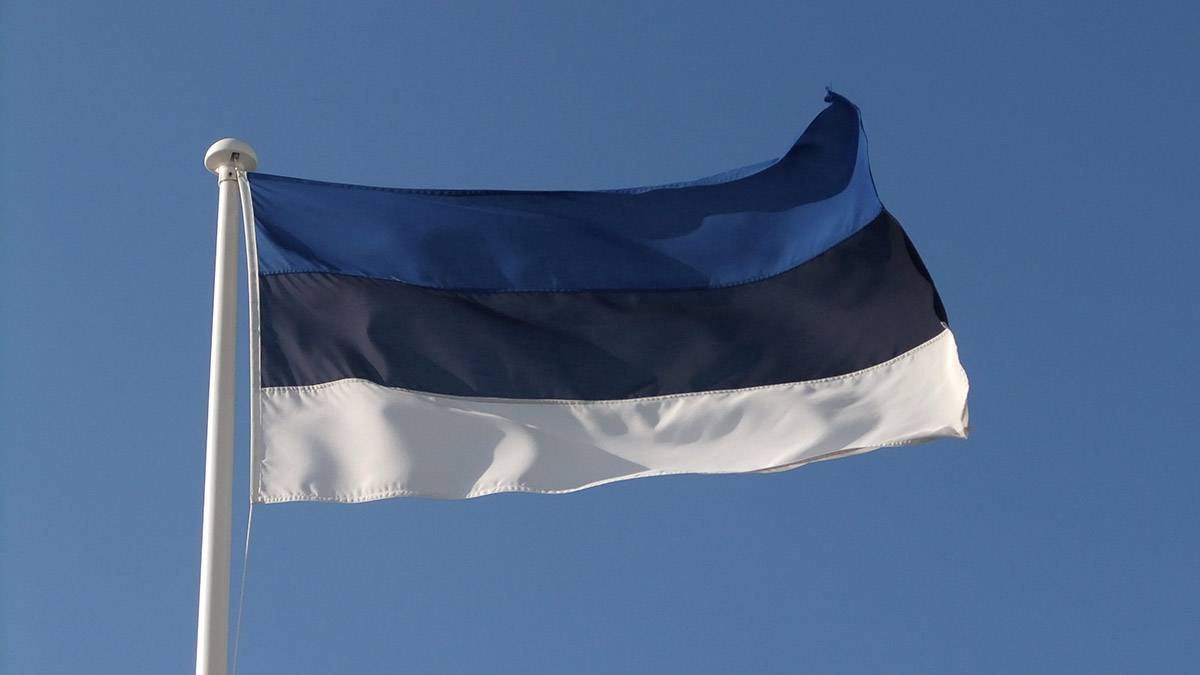 В ФТС сообщили о возобновлении движения на российско-эстонской границе