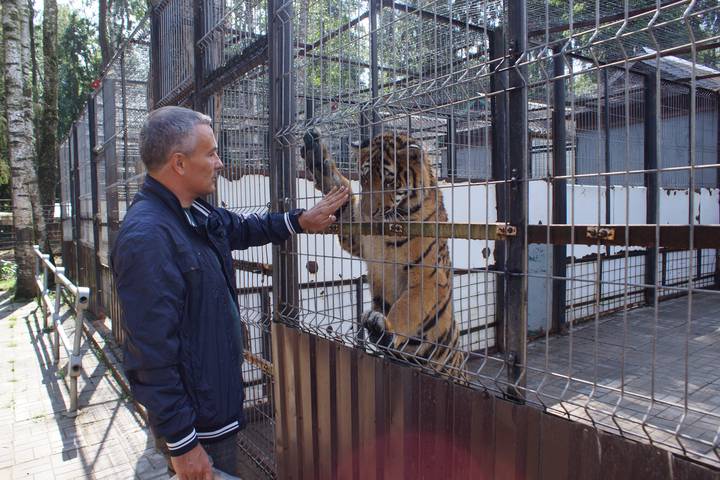 Центр реабилитации животных