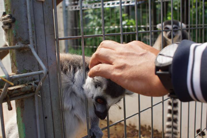 Центр реабилитации животных