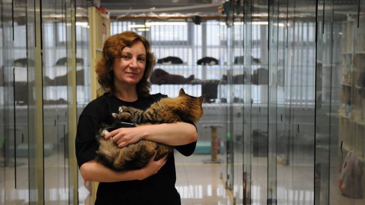 Сотрудница котогостиницы Екатерина Проничева с одним из животных, дожидающихся здесь возвращения хозяина