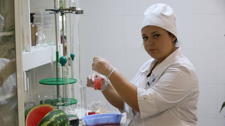 Специалист ветеринарной службы Дарья Шевченко проверяет арбуз на нитраты