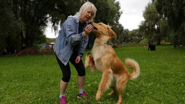 Анна Яценко дает Тиффани лакомство, чтобы порадовать питомца