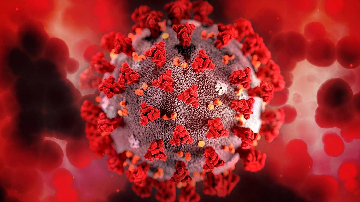 В России за сутки выявлен 11 071 новый случай коронавируса