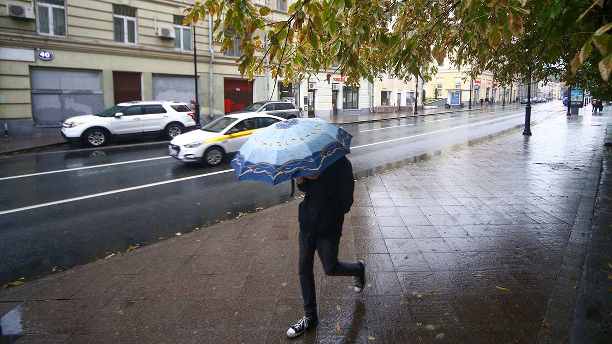«Оранжевый» погодной опасности объявили в Москве из-за сильного ветра и дождей