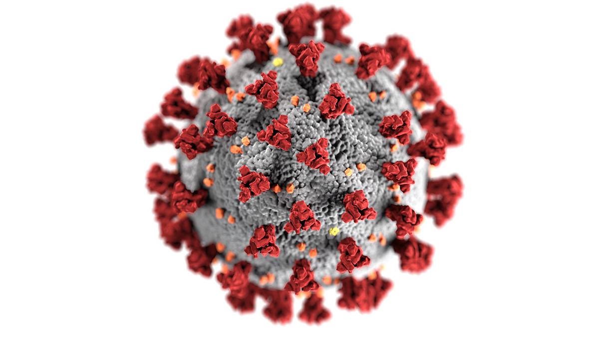 «Превзошел все заразные инфекции»: когда коронавирус закончит стремительно мутировать