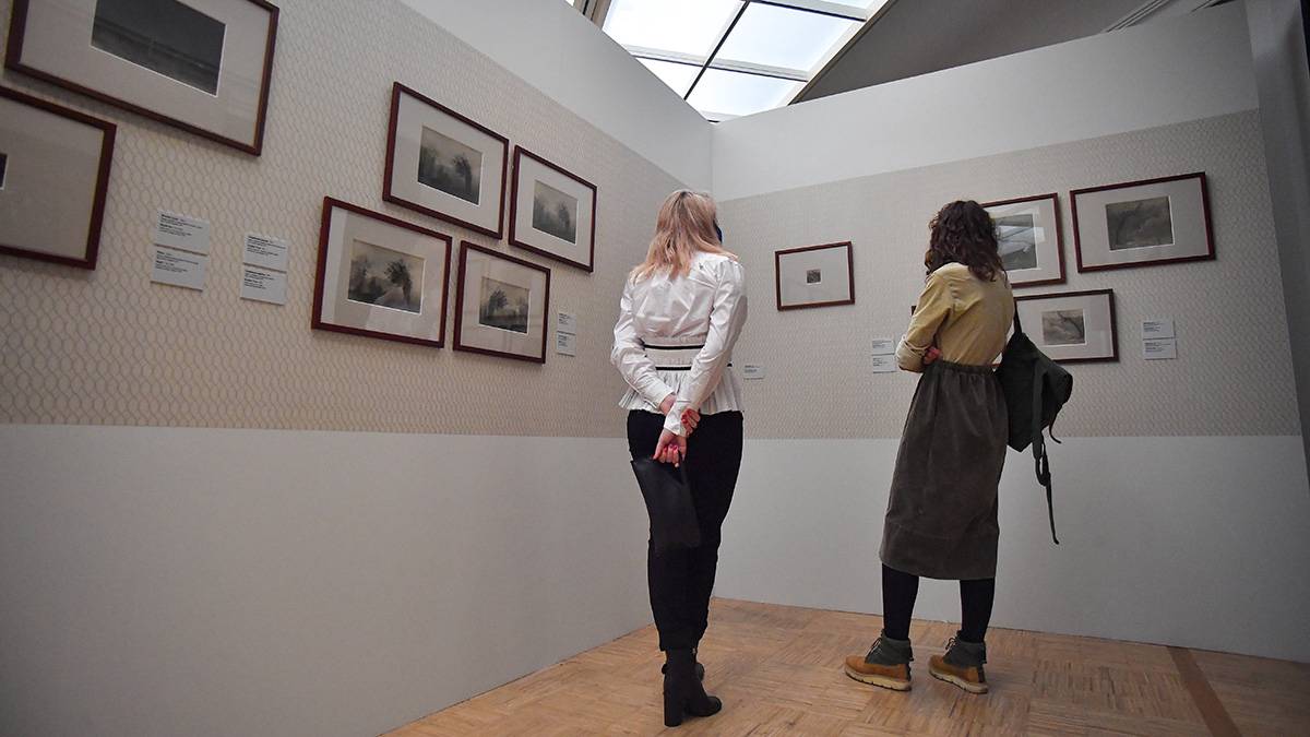 Москвичам рассказали о выставках, которые открываются в декабре