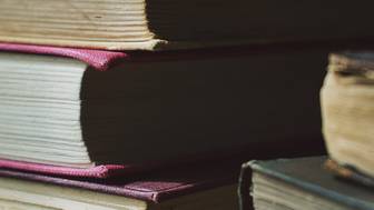 Профессор Фадеева: Словосочетание «европейские подсвинки» может войти в словарь