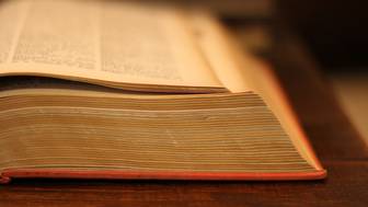 Кембриджский словарь назвал главное слово 2025 года