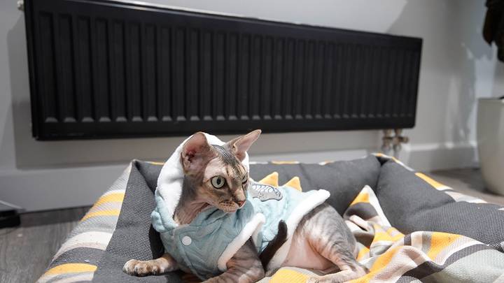 Тепло любит счет: как сэкономить на оплате за отопление