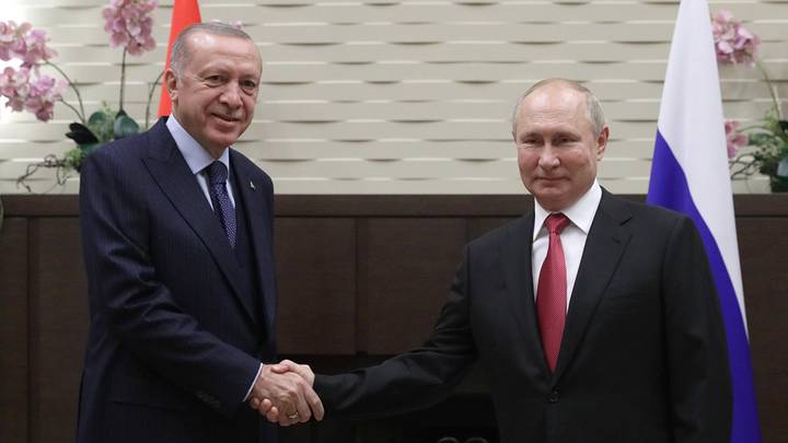 Турки оценили решение Путина и Эрдогана о переводе расчетов за газ в рубли и лиры