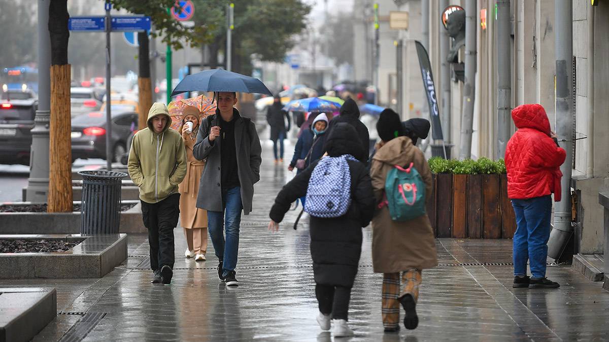 Москвичей предупредили о дожде и порывистом ветре 4 октября