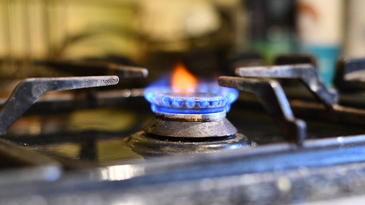 ФАС предложила увеличить тарифы на газ в России на 8,5 процента