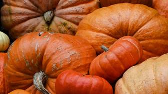 Вот так тыква, просто чудо! Как использовать урожай с максимальной пользой