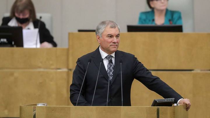 Володин заявил, что закон о пожизненном сроке для педофилов нужно принять до 1 февраля