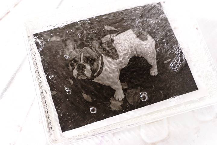 Корреспондент «ВМ» Александр Зосимов рассматривает проявленные негативы пленки через светящийся планшет. Он выбрал кадр с собачкой и перенес его на фотобумагу