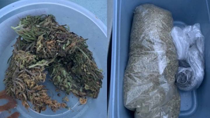 Купить В Г Пенза Марихуану