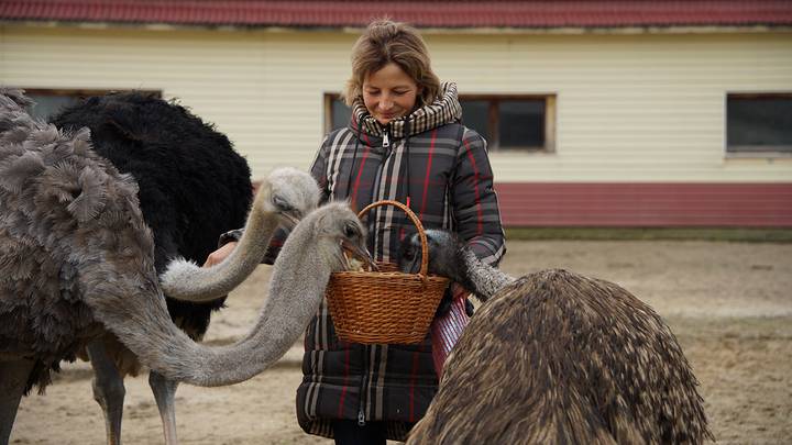 Отходники XXI века: чем живут и как зарабатывают москвичи, которые трудятся вдали от дома