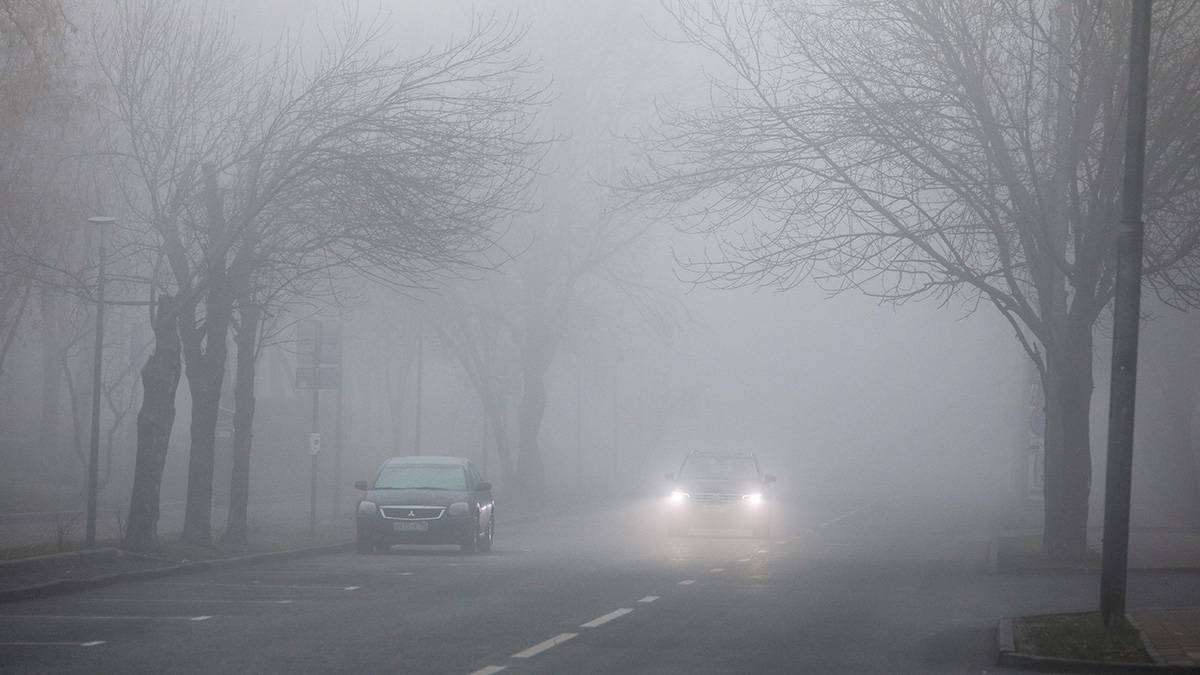 Столичных автомобилистов предупредили о тумане в ближайшие часы 
