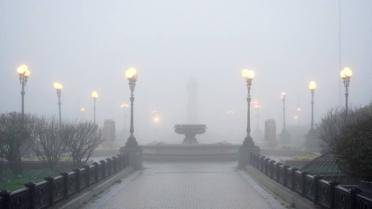 Москвичей предупредили о густом тумане в ночь на 26 мая