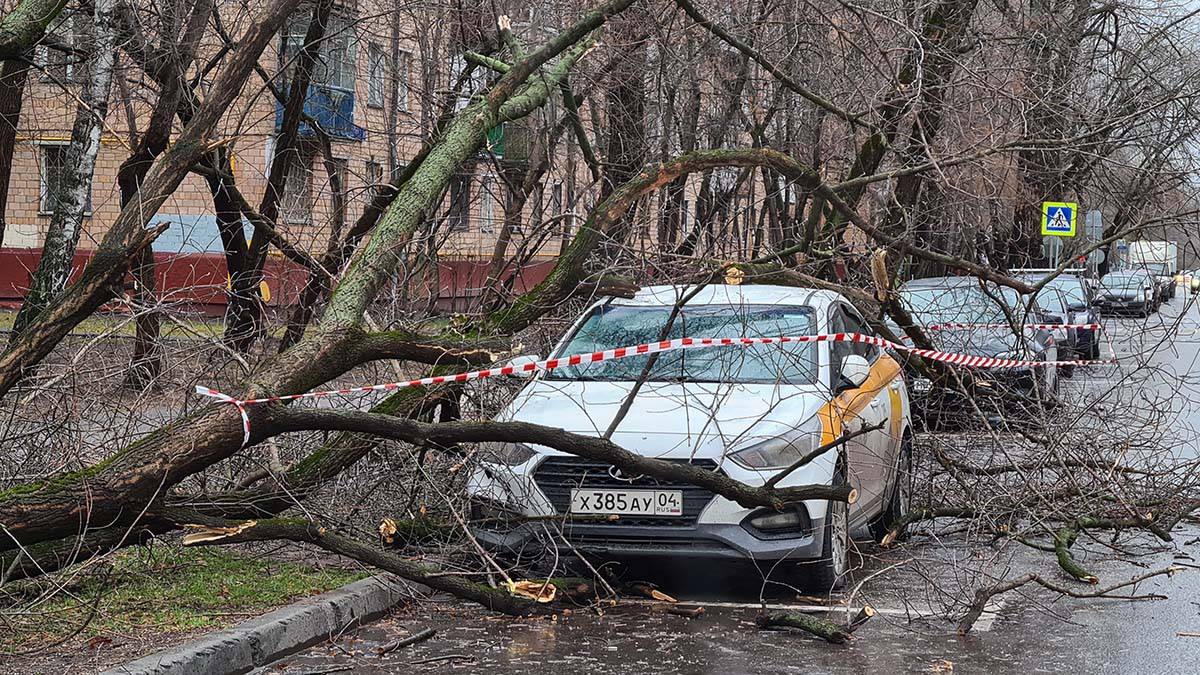 Женщина и ребенок погибли во время урагана в Санкт-Петербурге
