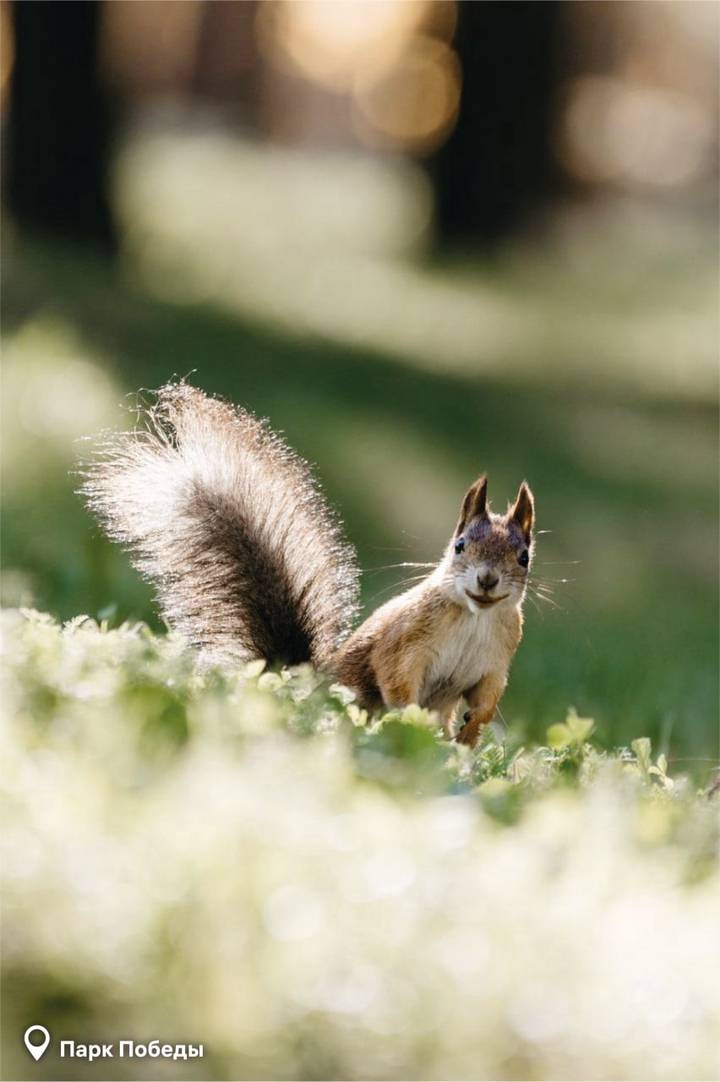 Фото: Telegram-канал / Городское хозяйство Москвы