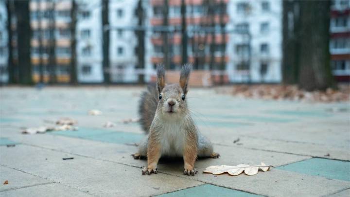 Фото: Telegram / Городское хозяйство Москвы