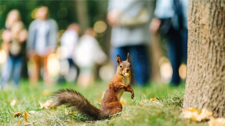 Фото: Telegram / Городское хозяйство Москвы