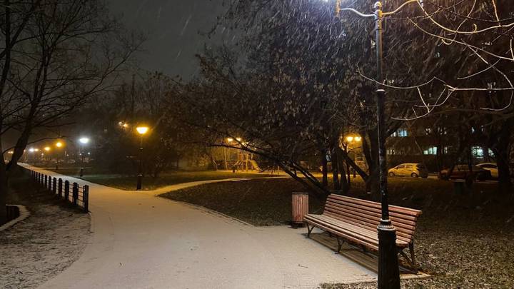 Городские службы Москвы при необходимости проведут обработку дорог от снега