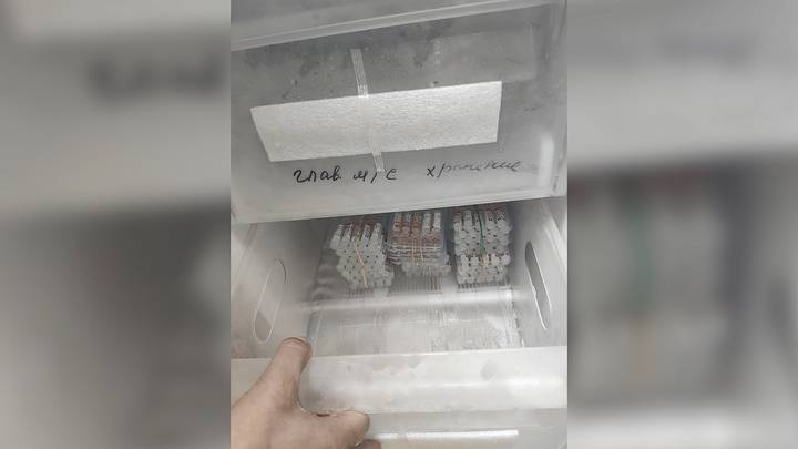 Главврач сахалинской больницы фальсифицировал данные о вакцинации от COVID-19