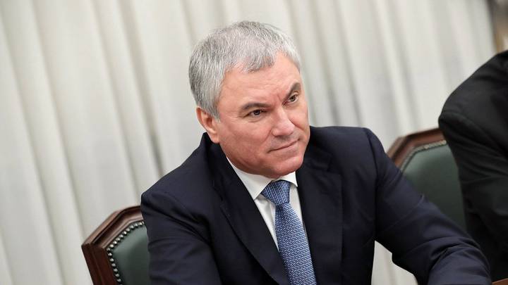 Володин: Закон об ужесточении наказания за педофилию вступил в силу 17 марта