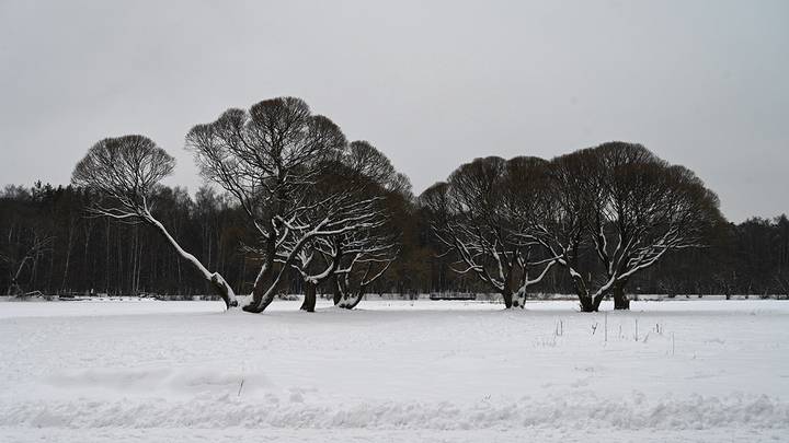 Покровское-стрешнево
