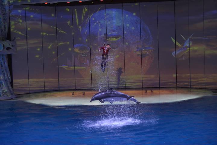 Морж записал новогоднее обращение к народу