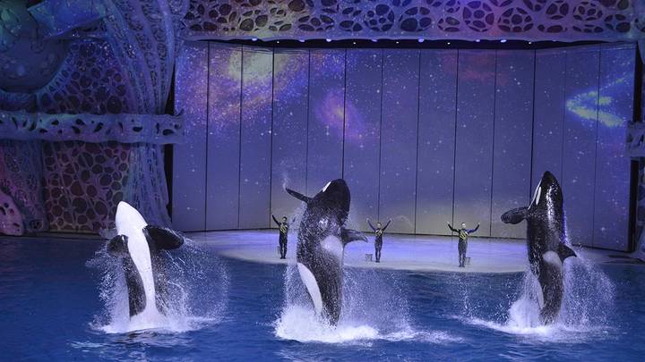 10 необычных площадок для регистрации брака в Москве