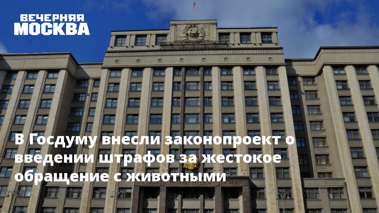 Законопроект вносится в государственную думу. Законопроект вносится в государственную думу