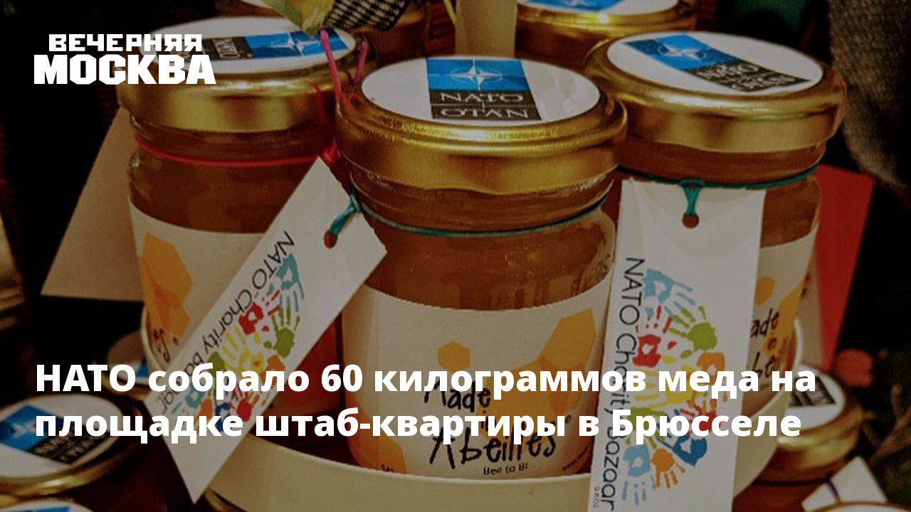 собрали 60 кг абрикосов