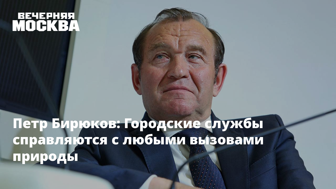 Петр Бирюков: Городские службы справляются с любыми вызовами природы