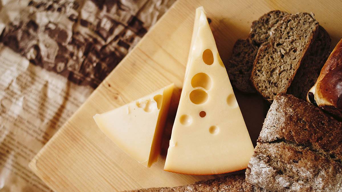 Сорбенты отдельно, пища отдельно: гастроэнтеролог Дианова оценила пользу сыра с активированным углем