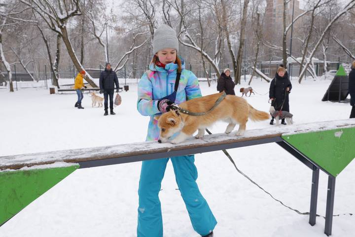 Сергей Собянин: Мы не планируем рекорды. Просто системно работаем над каждым проектом