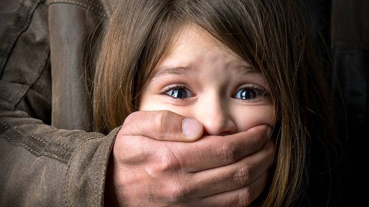 Мужчина получил 15 лет колонии за попытку изнасилования и убийства девочки в Солнечногорске