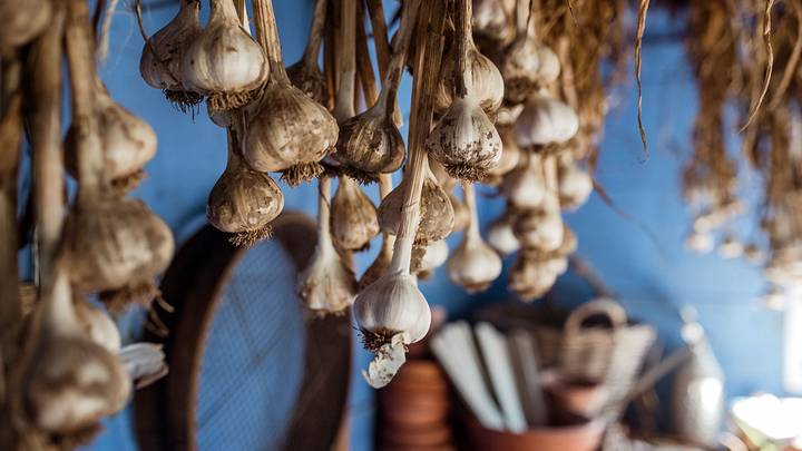 Как хранить чеснок дома