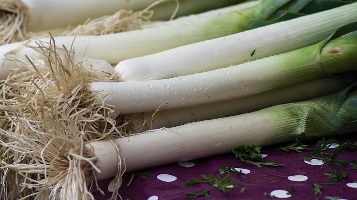 Начинаем дачный сезон: какую рассаду нужно уже сажать к лету