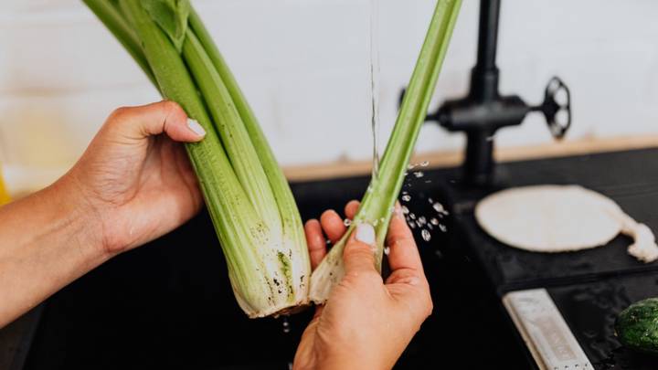 Начинаем дачный сезон: какую рассаду нужно уже сажать к лету