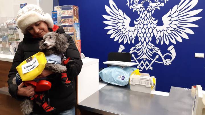 Пудель Арчи вместе с хозяйкой Юлией Соколовой доставил первые письма