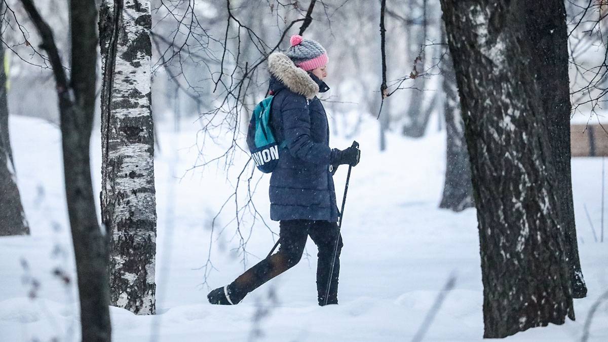 Жителям столицы пообещали морозные и снежные выходные